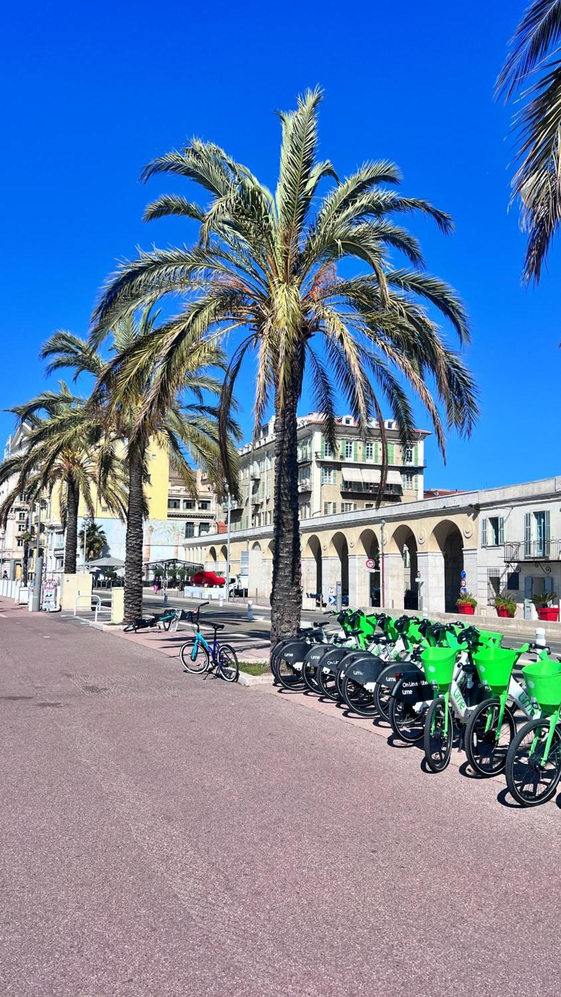 Appartamento Le Mistral Nizza Esterno foto